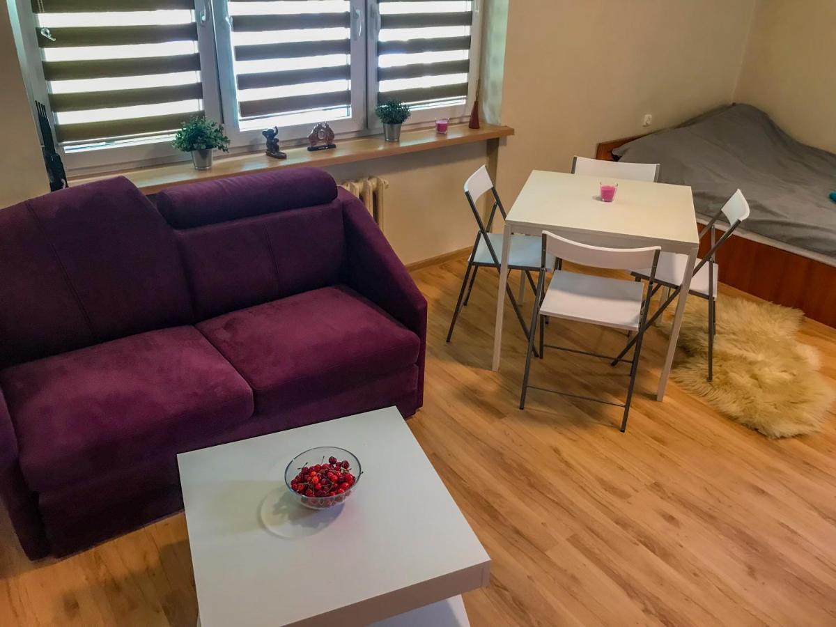 Cosy studio in quiet location Renovated June 2021 Puławy Esterno foto